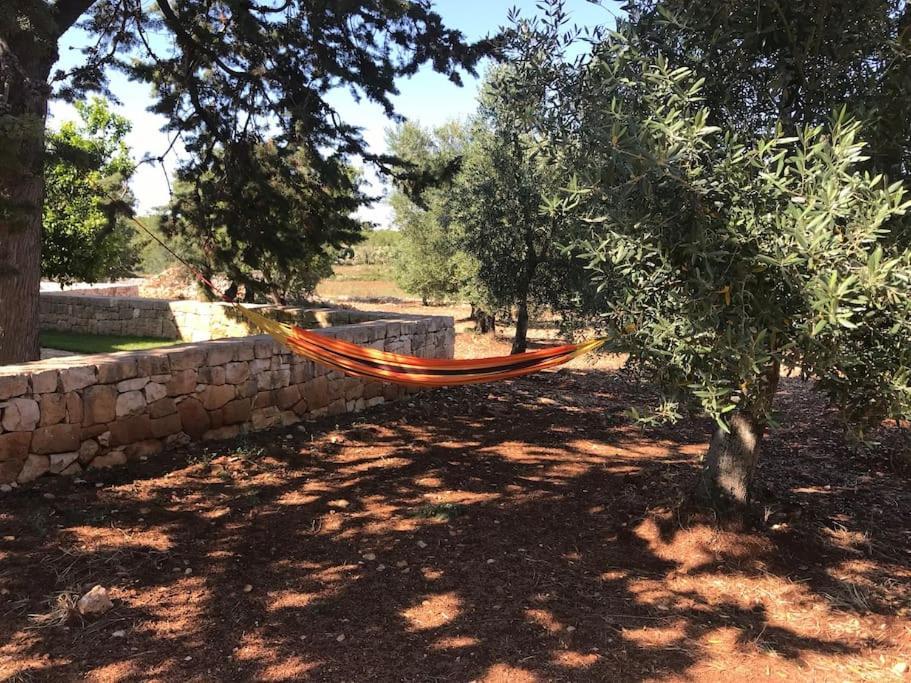 Villa Dominique Relax A Pochi Kilometri Dal Mare 카로비그노 외부 사진